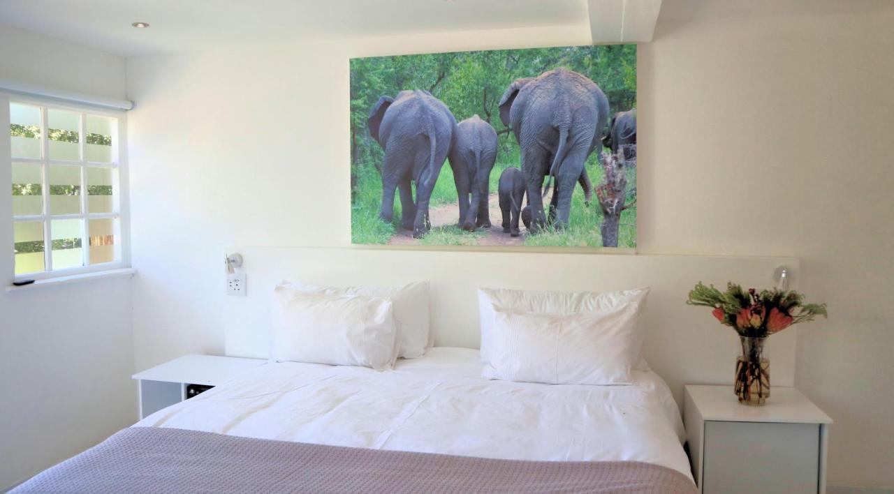 Thelab Cape Town Hotel เฮาต์เบย์ ภายนอก รูปภาพ