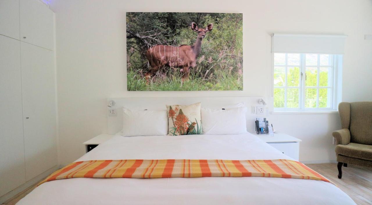 Thelab Cape Town Hotel เฮาต์เบย์ ภายนอก รูปภาพ